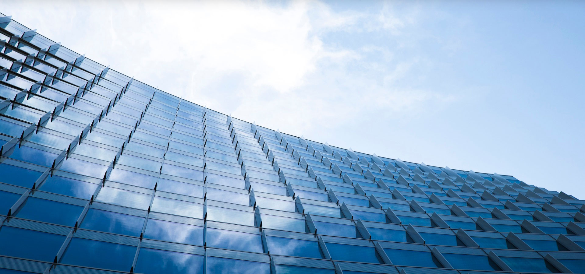 拓普天下　达有所成